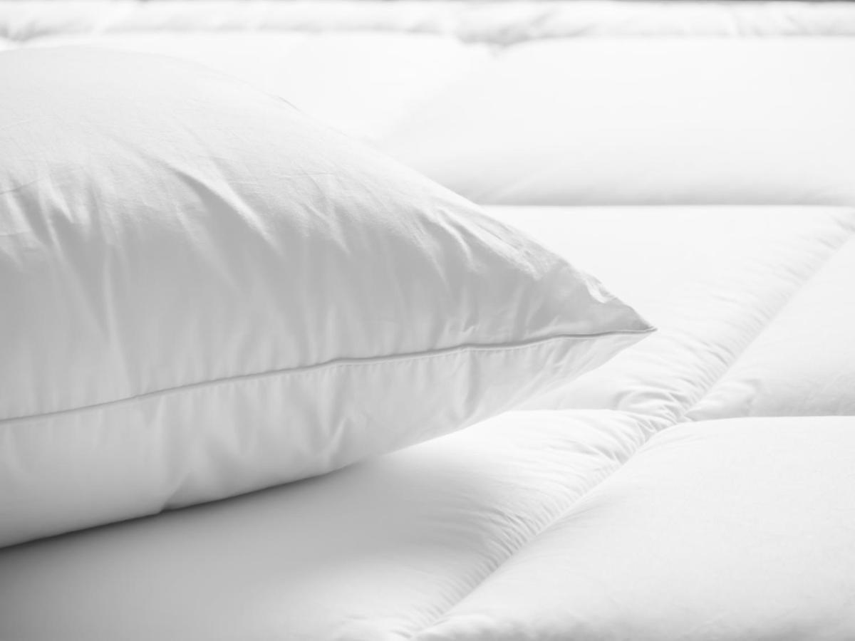 נורת' צ'רלסטון Residence Inn By Marriott Charleston Airport מראה חיצוני תמונה